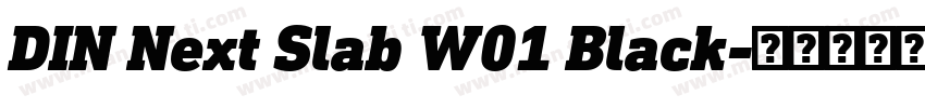 DIN Next Slab W01 Black字体转换
